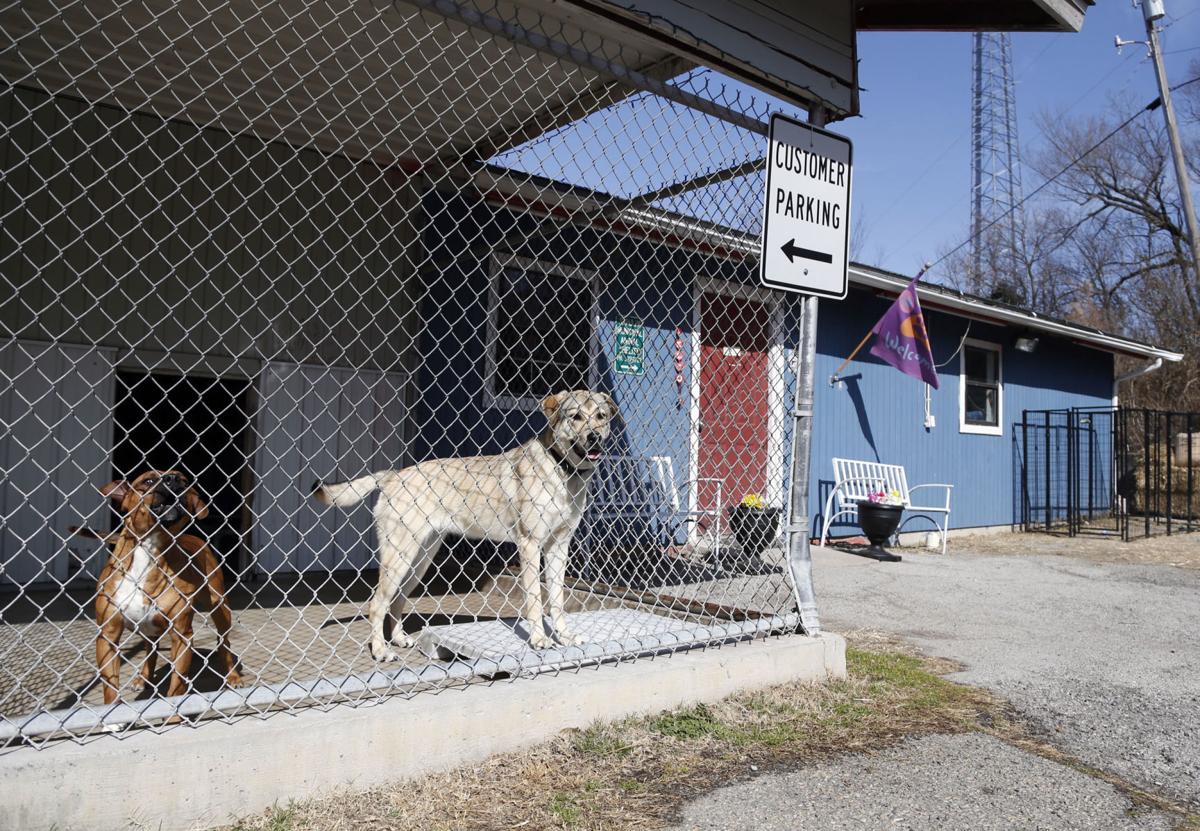 Sapulpa officials hope fifth time is charm for new animal shelter