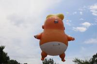 Trump Balloon