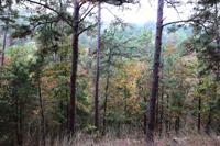 Beavers Bend State Park