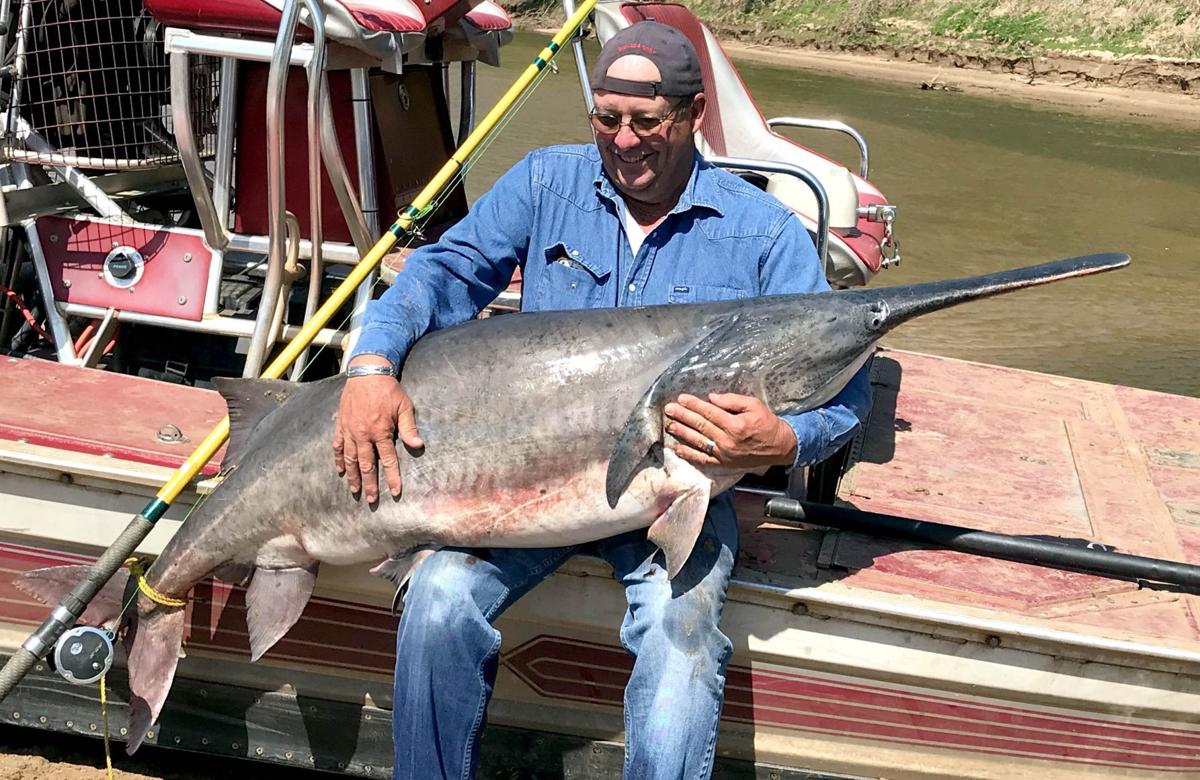 Find out how a firsttimer set the new Oklahoma record for paddlefish