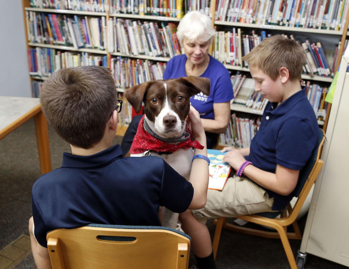 Dog Days at Carnegie Elementary lets kids practice reading with canine