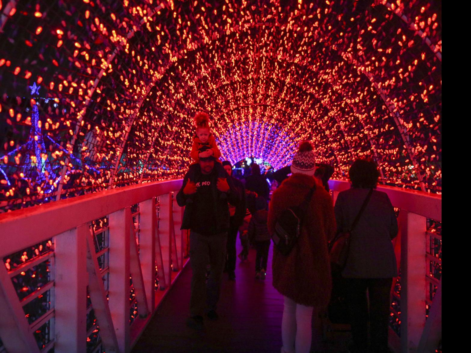 Rhema Christmas Lights 2021