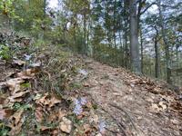 Beavers Bend State Park