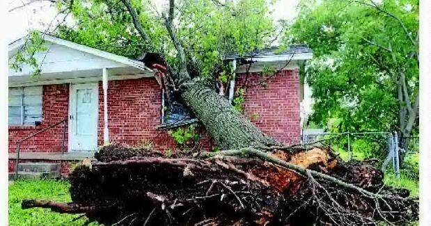 Authorities rescue family, motorists - Vimarsana News