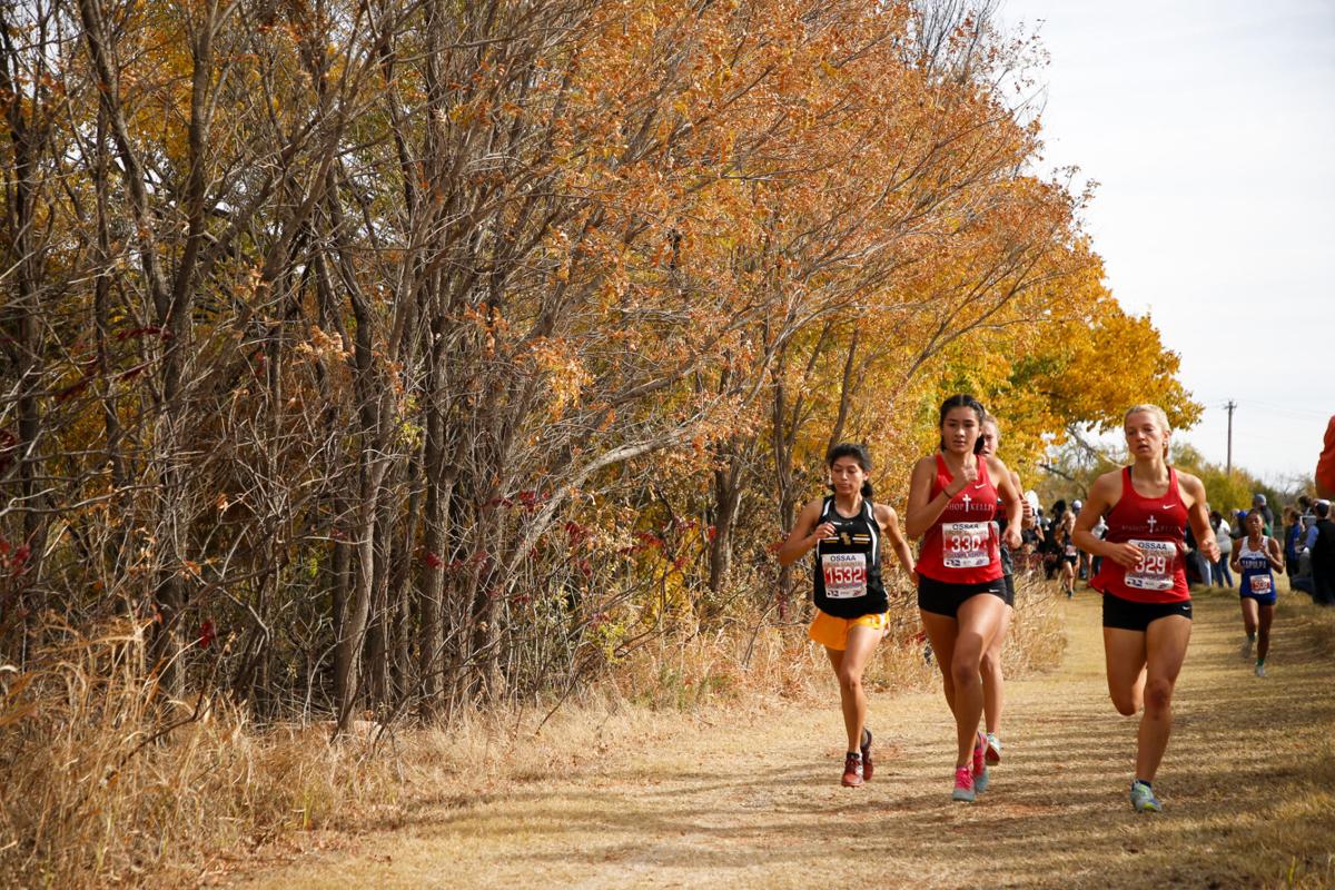 High schools State cross country results