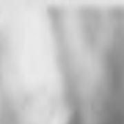 Eddie Of Tv S Frasier Dies At 16 Archive Tulsaworld Com When frasier first started topping the nielsen ratings every week, which cast member moose was 14 when frasier came to an end. eddie of tv s frasier dies at 16