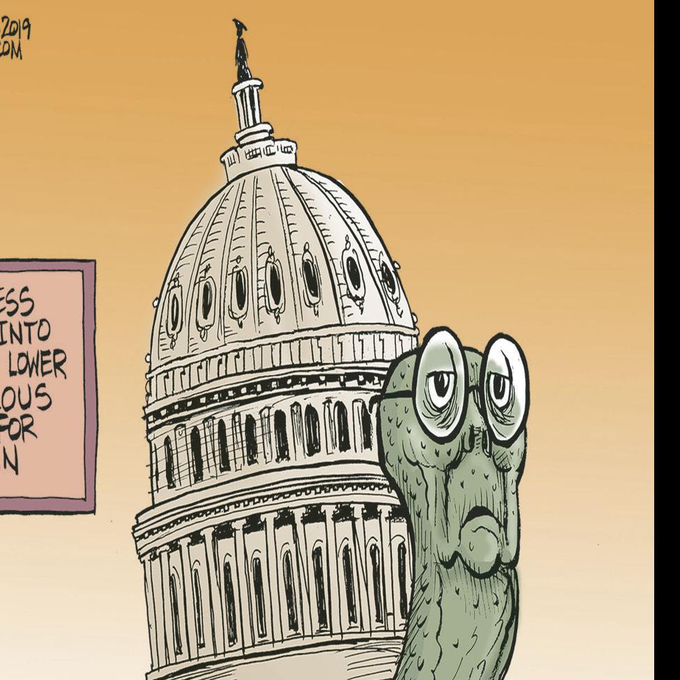 Bruce Plante Cartoon Insulin Prices Columnists Tulsaworld Com Cartoon depicting some of the key signalling events that can be triggered by the hormone insulin. bruce plante cartoon insulin prices