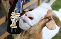 Rapture Brewing Prairie Creek Farms