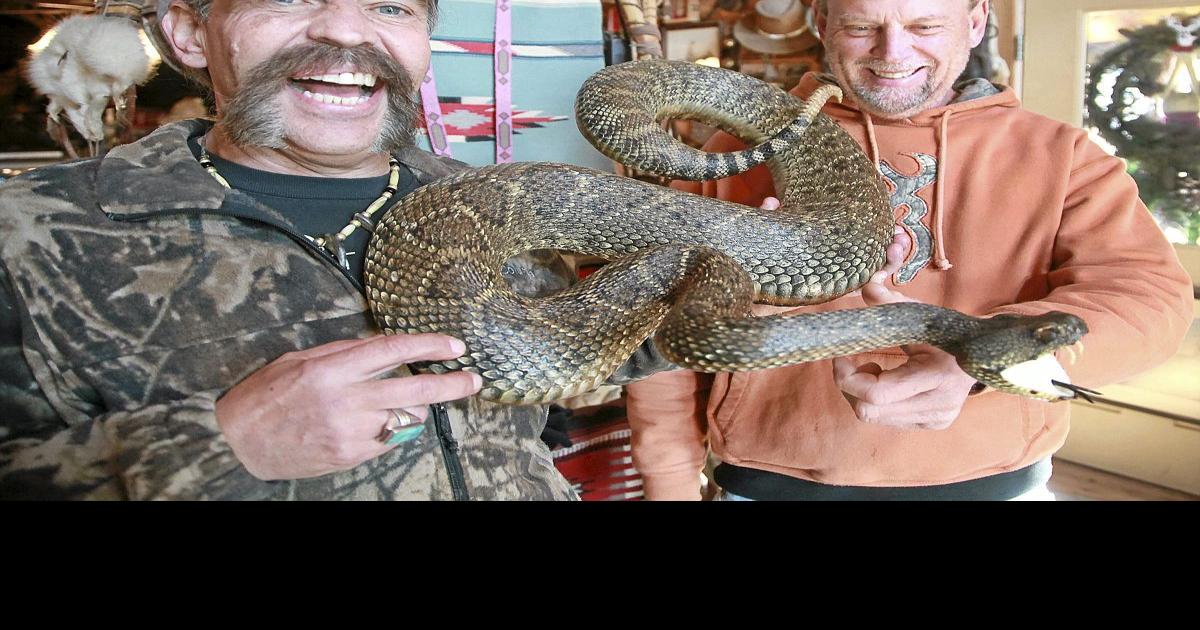 Venomous Snake Handling - Tim's Reptiles