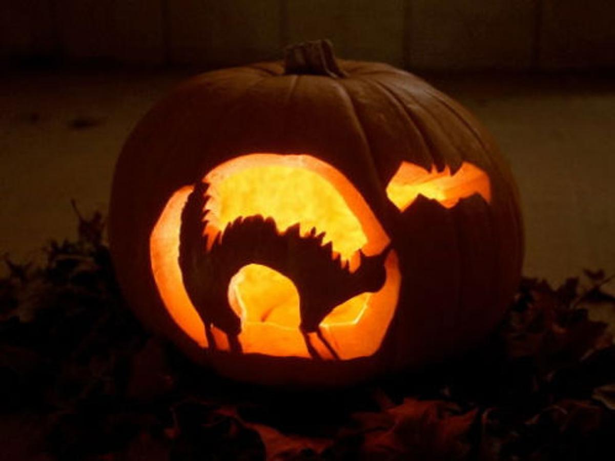 Bartlesville Events Offer Halloween Fun For All Ages State And Regional News Tulsaworld Com