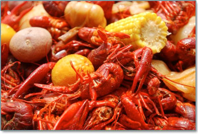 Cravin crawfish online