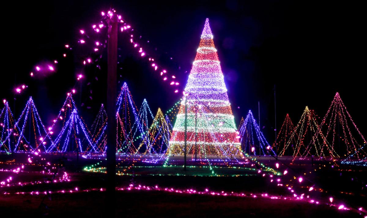 john klein lighting the azaleas for christmas at muskogee john klein lighting the azaleas for christmas at muskogee