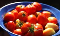 Home Grown Tomatoes