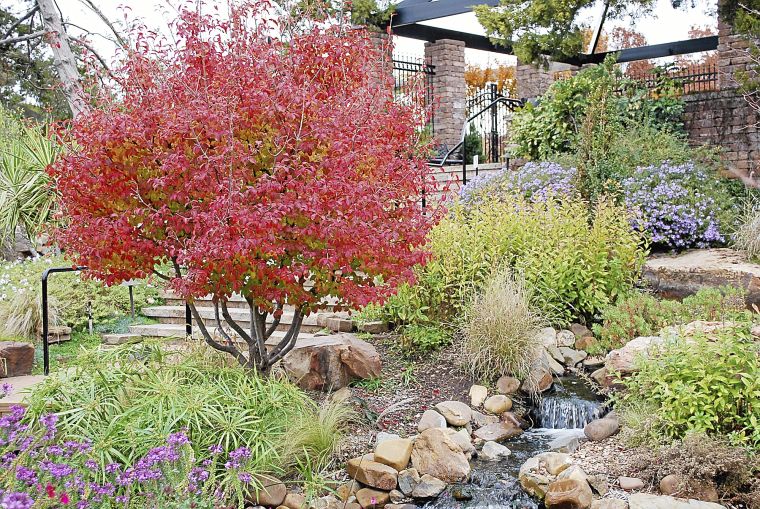Tulsa gardening expert shares favorite attractive, hardy plants for Oklahoma yards Home
