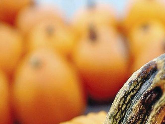 Halloween Events In Tulsa 2022