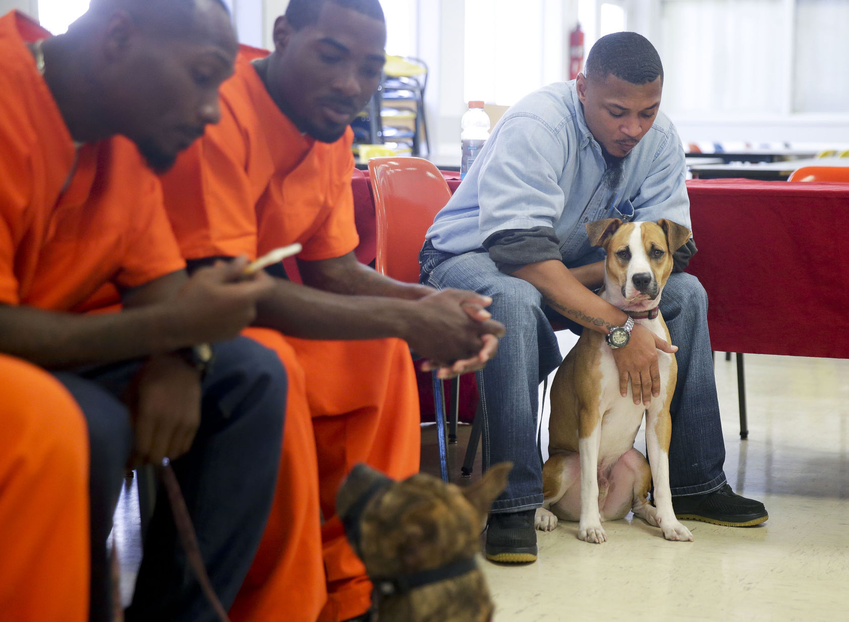 prisoners training dogs