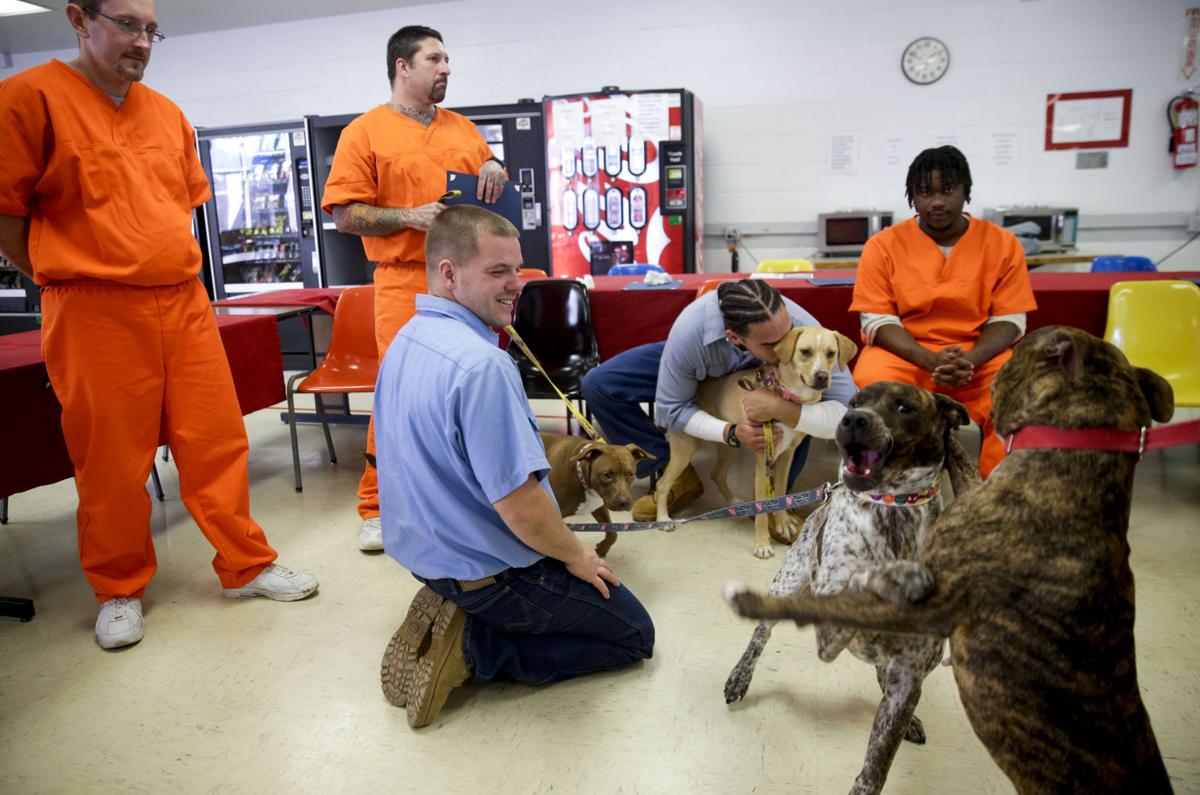 Prisoners help dogs on their way to new freedom, new lives