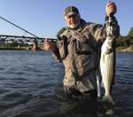 90. Go after the stripers and wipers