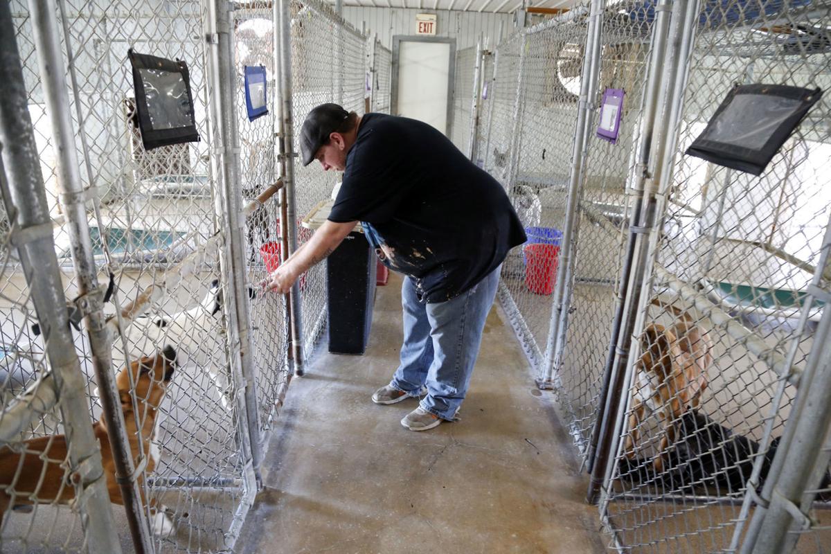 Sapulpa officials hope fifth time is charm for new animal shelter