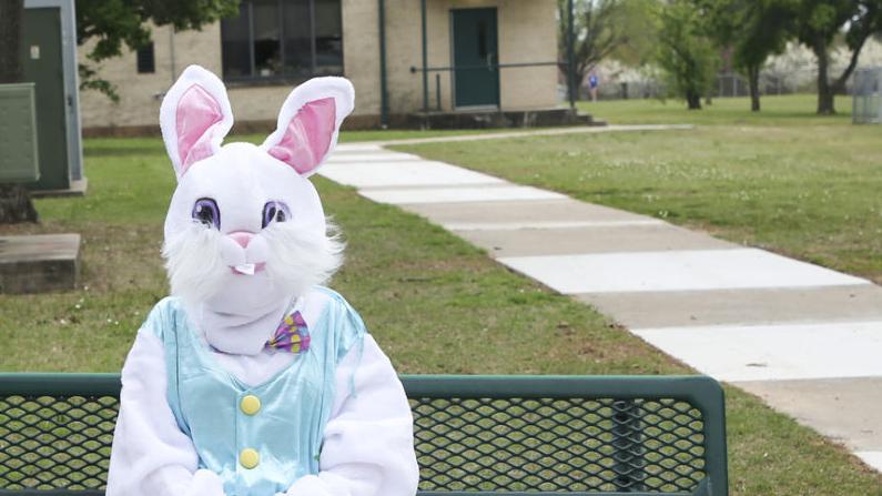 Do An Easter Bunny Drive By In Tulsa Plus Ideas For Where To Get