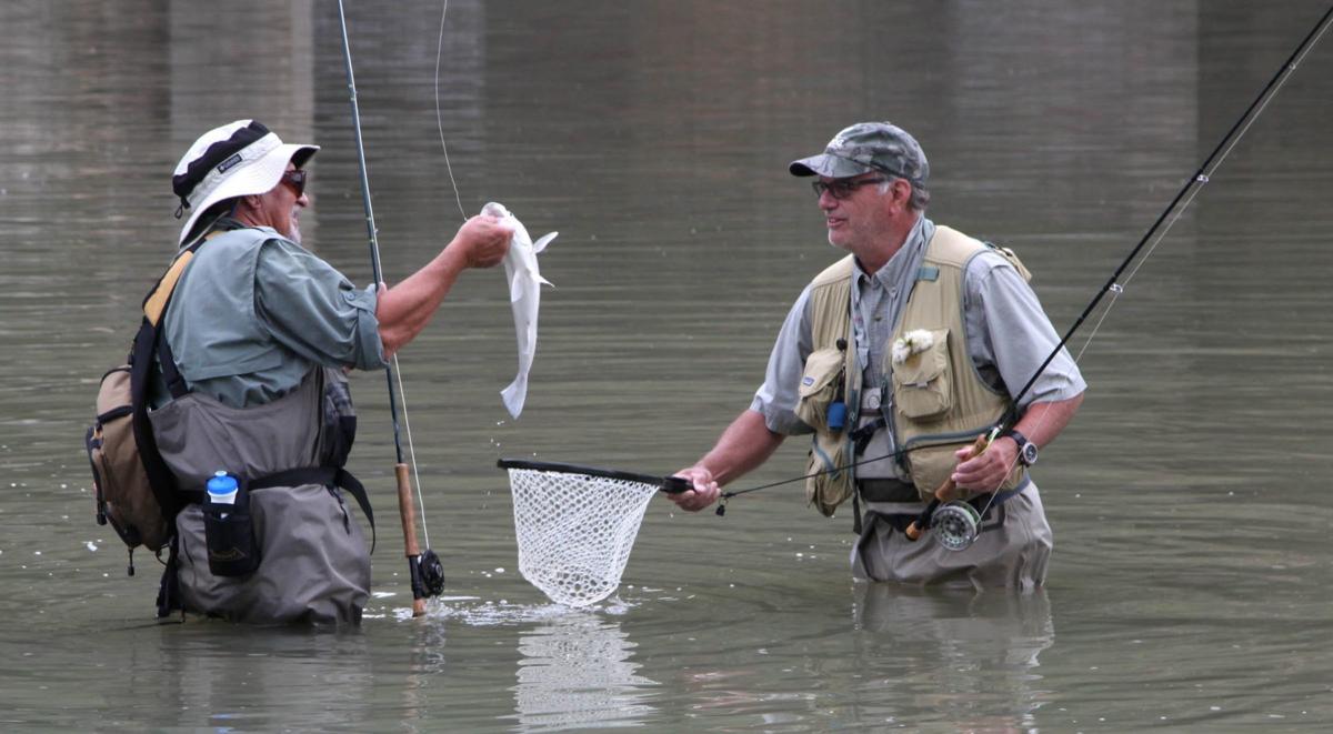 Kelly Bostian Casting For Solutions On The Lower Illinois River Bostiancolumn Tulsaworld Com