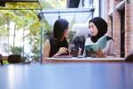Should You Rush to Refinance Your Student Loans?
