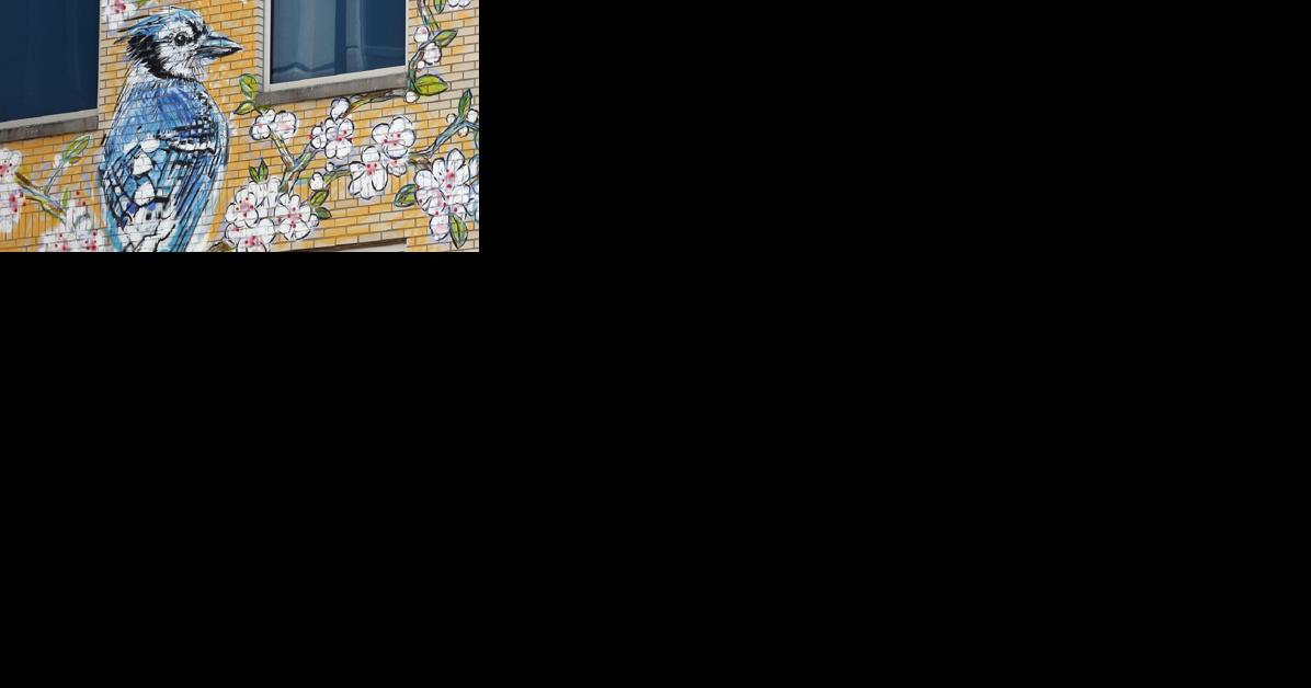Throwback Tulsa: Tulsa Art Alley opens five years ago today - Vimarsana News