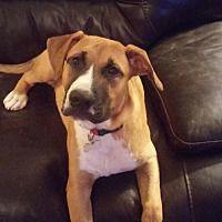 Dozer