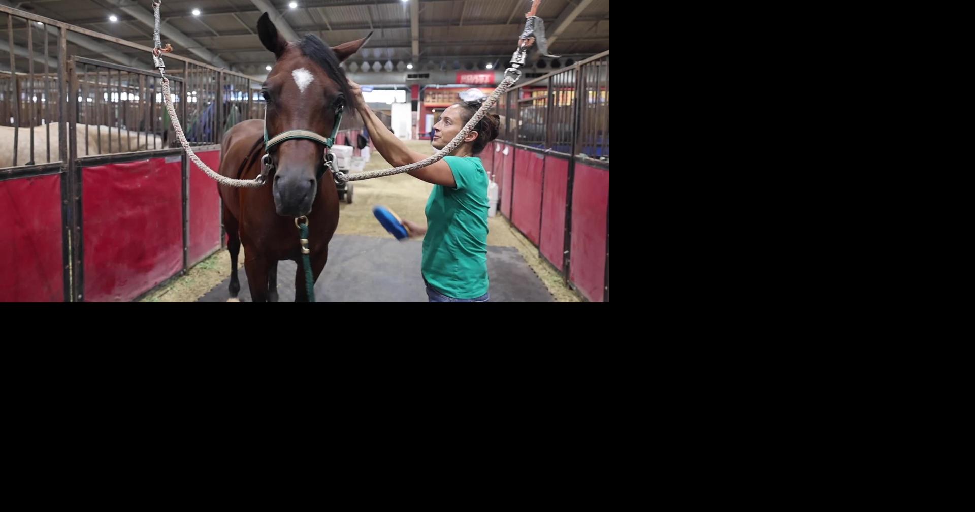 National Arabian horse show draws thousands of horse lovers to Tulsa