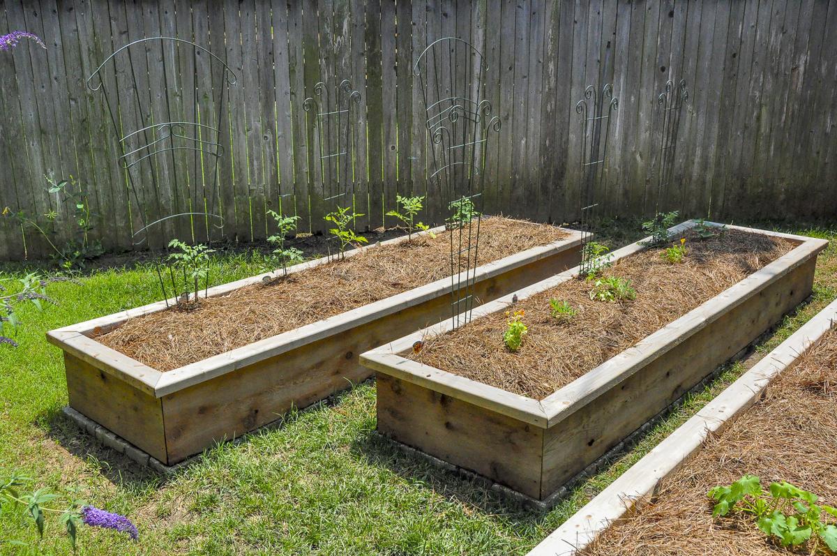 Raised bed gardening (copy)