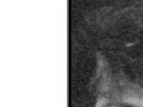 Langdon Archive Tulsaworld Com