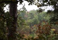 Beavers Bend State Park