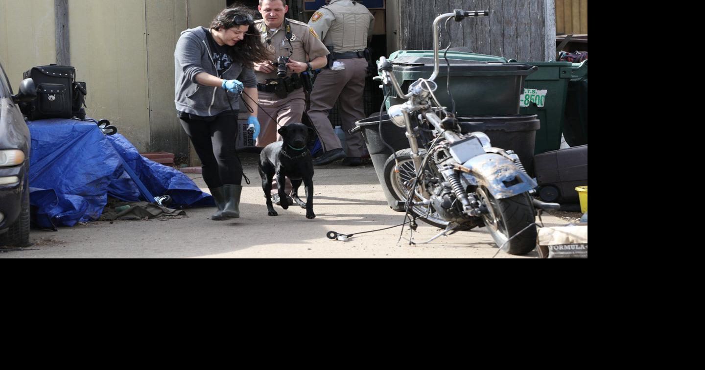 Update: Woman arrested on 123 complaints of animal cruelty after she ...