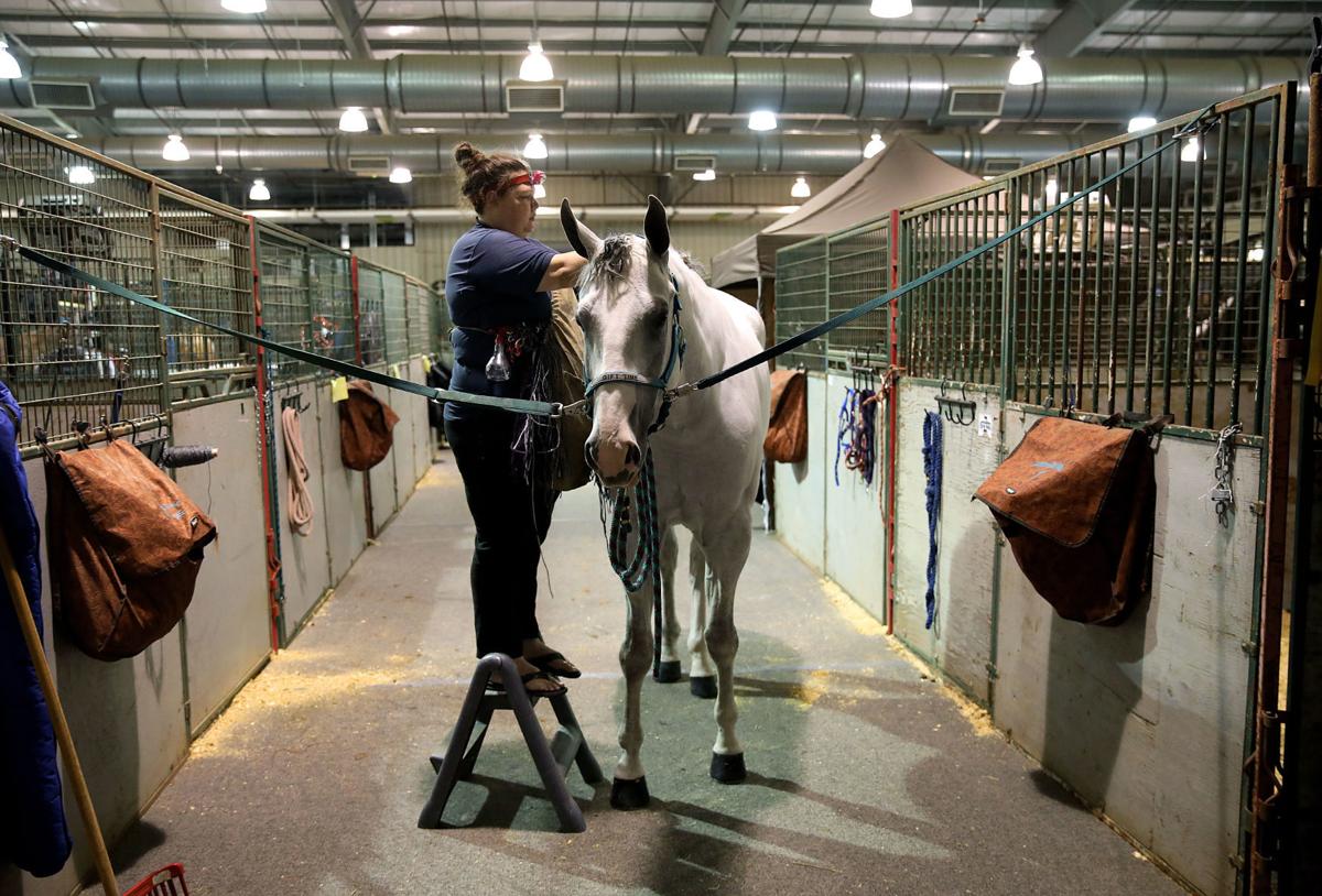 Braiding horses is big business at Pinto World Championships Local