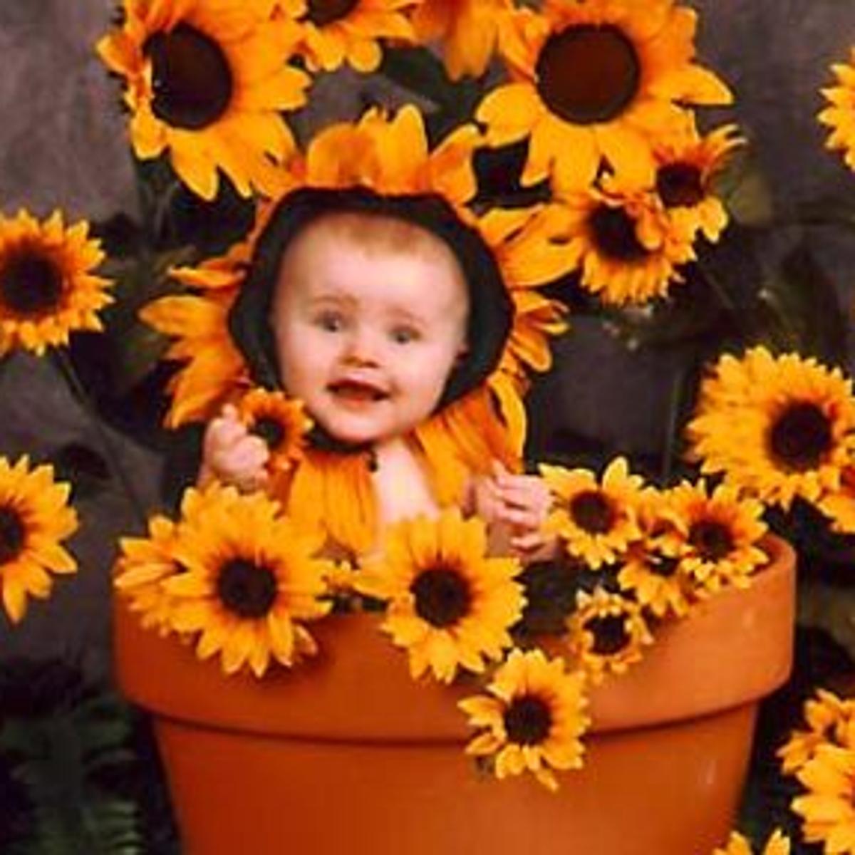 Tulsa Photographer Snaps Anne Geddes Type Images Archive Tulsaworld Com anne geddes kalender 2021 thalia