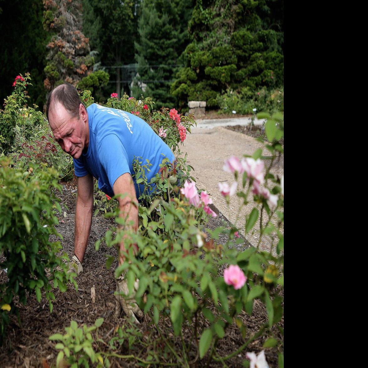 Tulsa Rose Garden Transformation Revives Annual Fundraiser