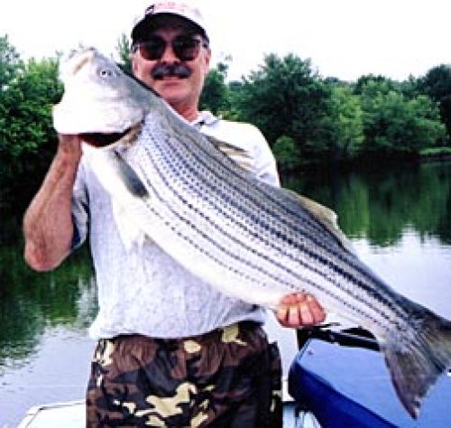 Lower illinois river striper fishing Clearance