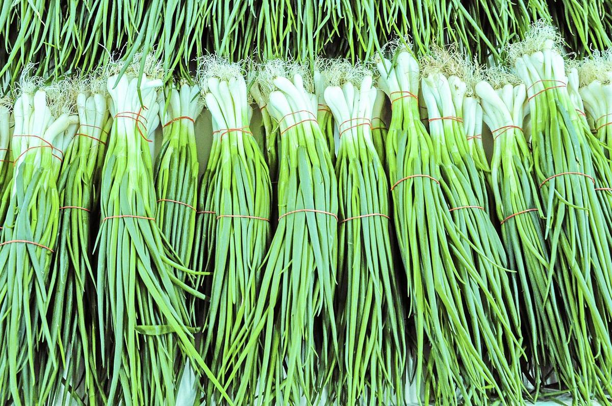 Master Gardener Time to plant onions is approaching