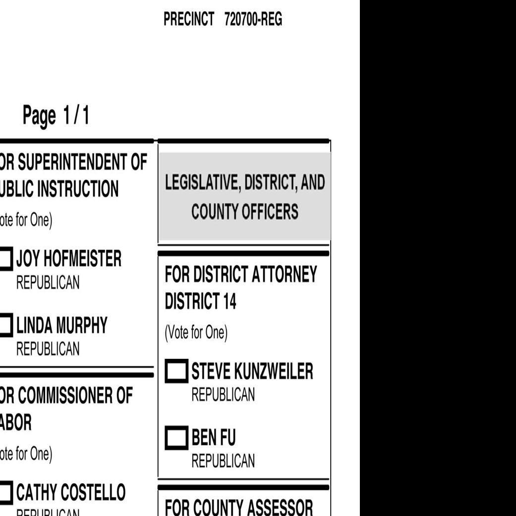 Get Your Sample Ballot For The Aug 28 Runoff Election Politics Tulsaworld Com