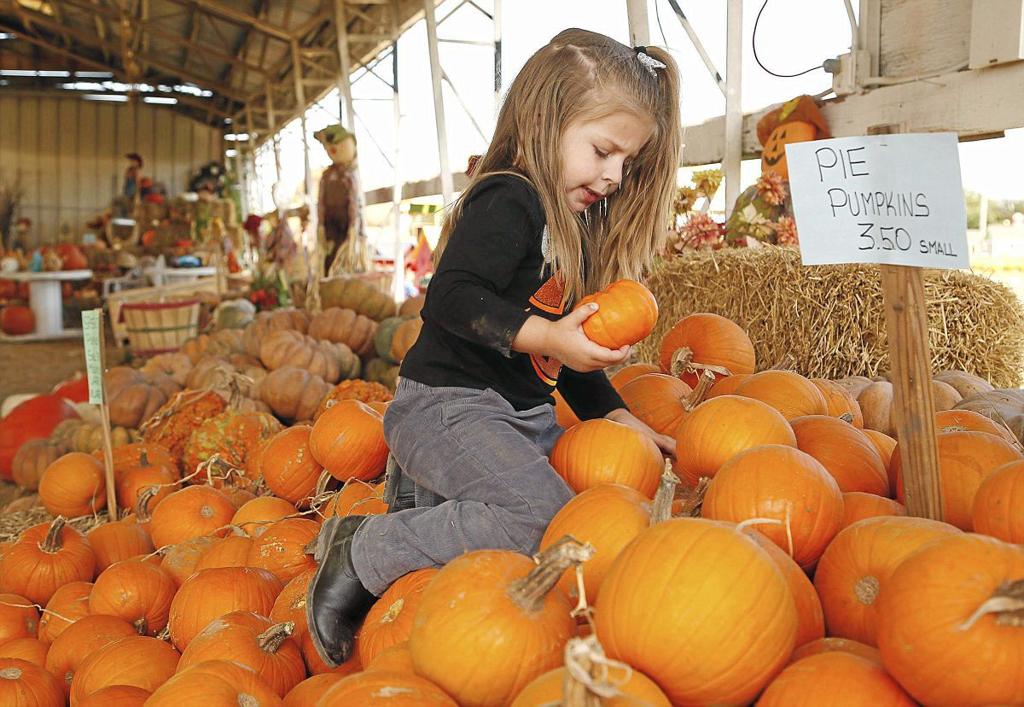 Halloween Events In Tulsa 2022