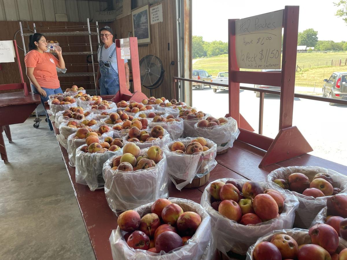 Porter Peach Festival 2025