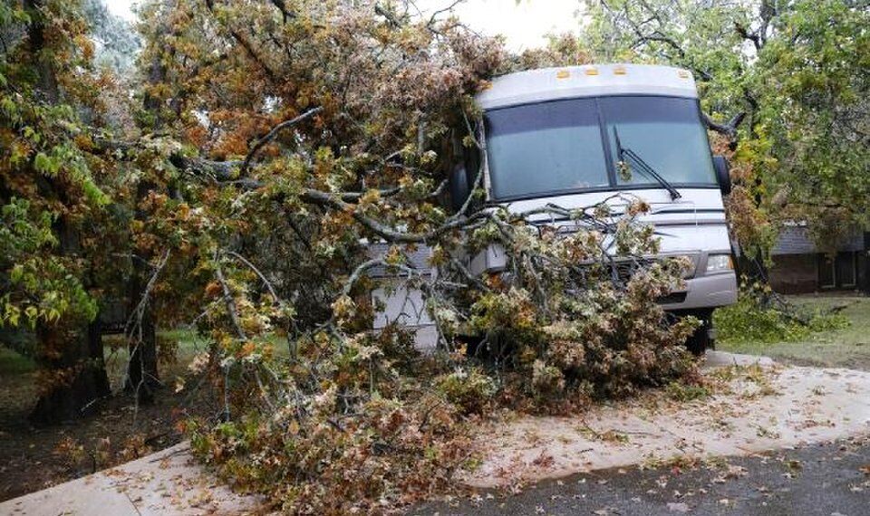 Survivor Tree at the Oklahoma City National Memorial damaged in ice storm