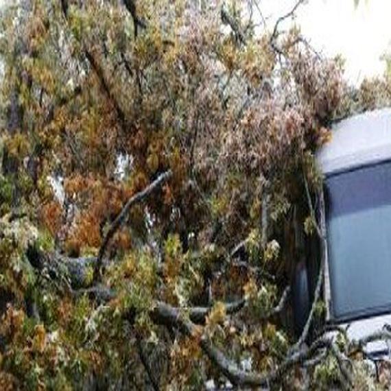 The Worst Storm Og E Aims For Full Power Restoration Friday Night State And Regional News Tulsaworld Com