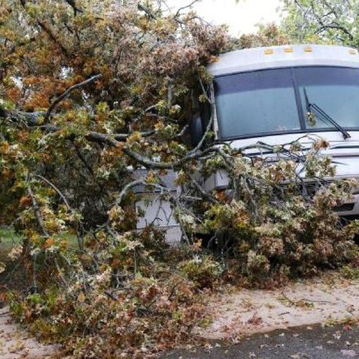 The Worst Storm Og E Aims For Full Power Restoration Friday Night State And Regional News Tulsaworld Com