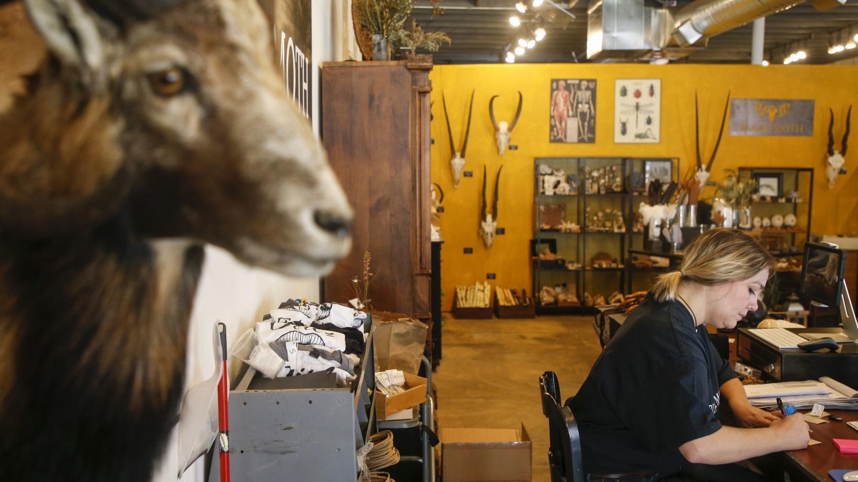 Cowhide corner adair oklahoma Cowhide corner adair oklahoma