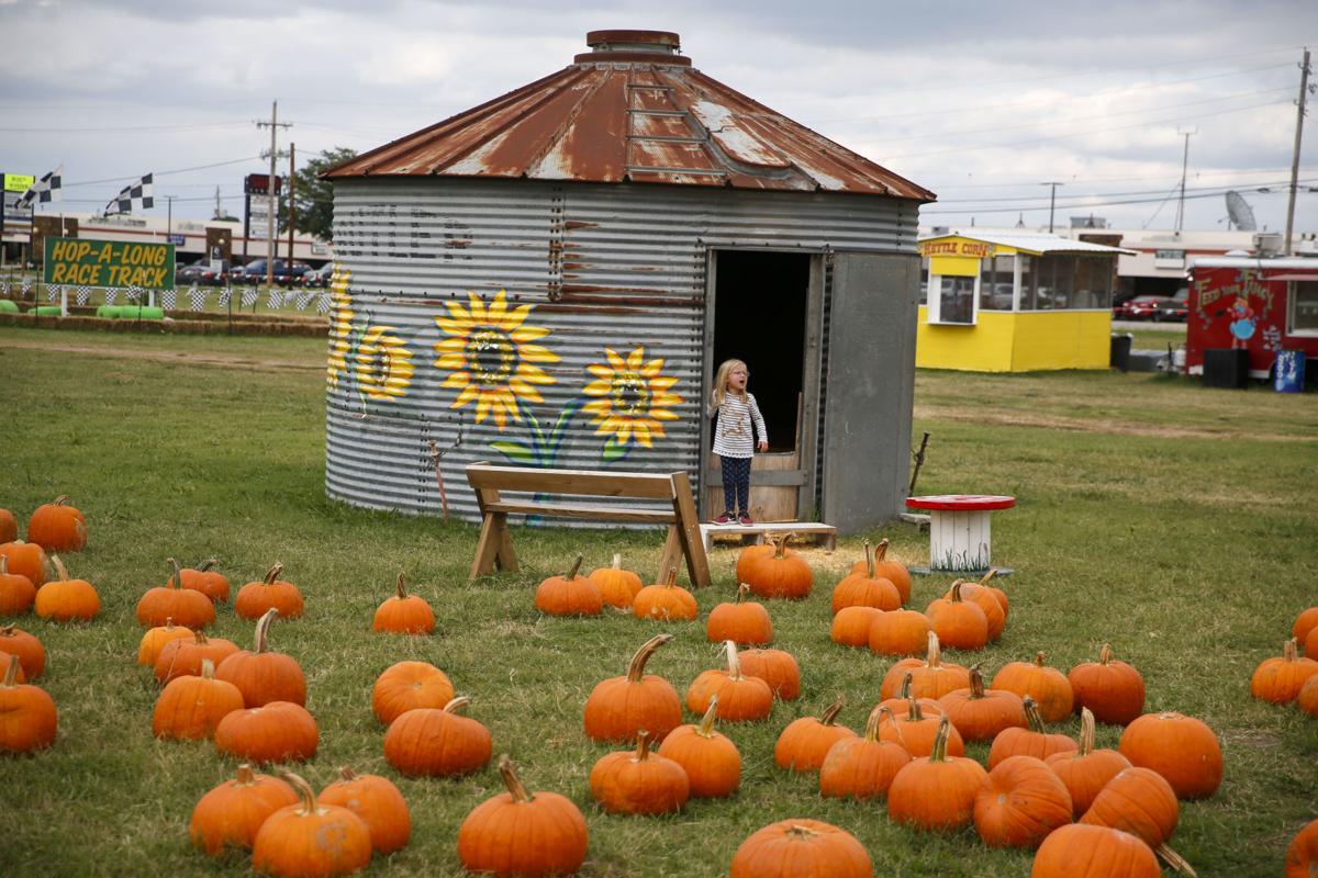 Halloween season Find out what's new at Pumpkin Town Farms and other