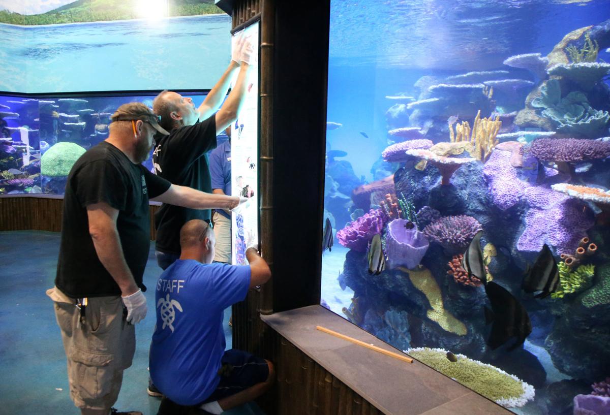 'A long, wild ride' Oklahoma Aquarium marks 15 years of growth