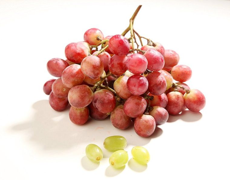 Red Globe Grape