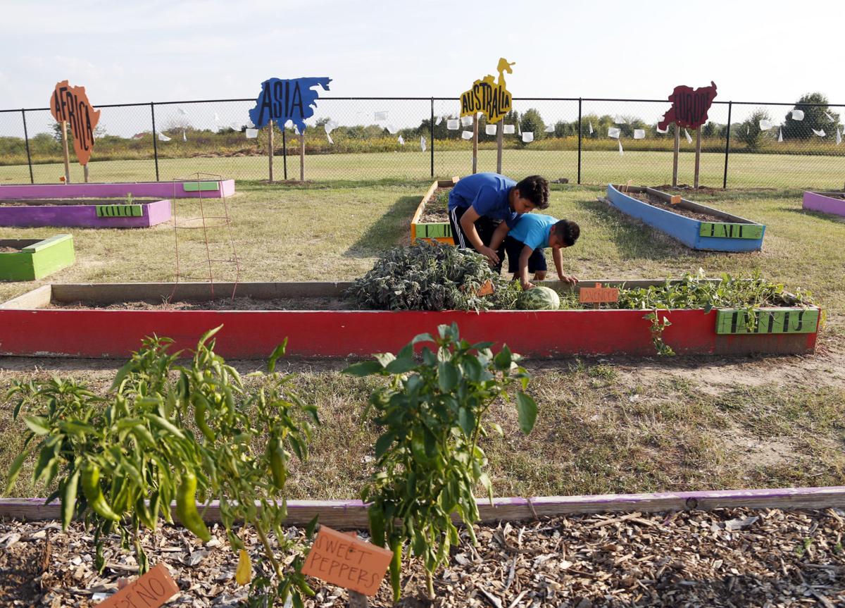 Global Gardens (copy)