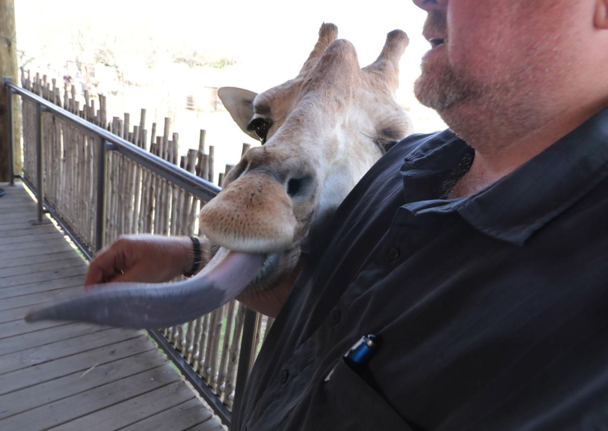 Tulsa Zoo visitors get up-close and personal with animals | Tulsazoo